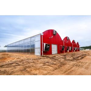 Aquaculture Steel Structure Solar Greenhouse with Quilt Rolling Shutter and
