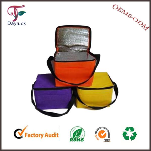 Buy Small size insulated cooler bag for cans at wholesale prices