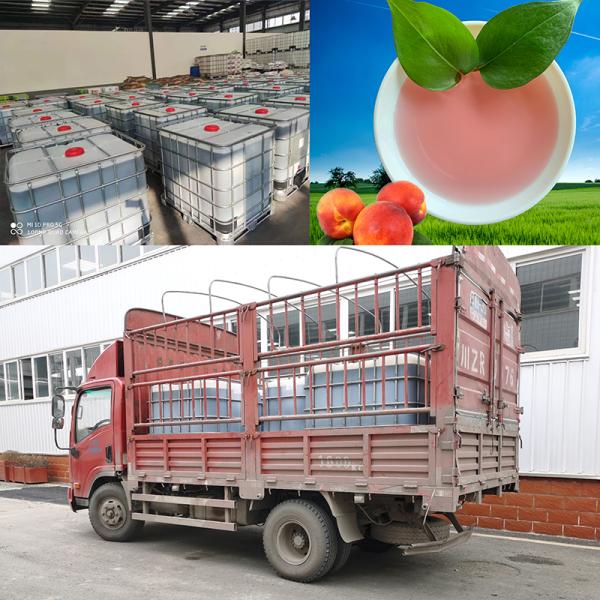 Pink Organic Amino Acid Chelated Potassium Boron Liquid For Fruits Coloring