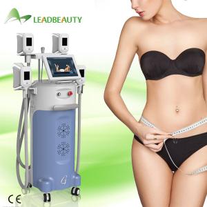 China High Power 4 Handles cool body shaping cryolipolysis slimming machine on sale