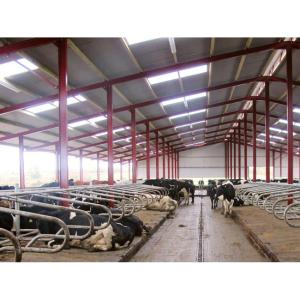 Hotel Fully Automated Broiler Poultry Prefab Steel Structure Chicken Farming