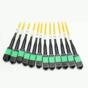 1M MPO Fanout Cable
