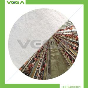 Quality Enrofloxacin 10% Micro-capsule Veterinary Medicine for sale