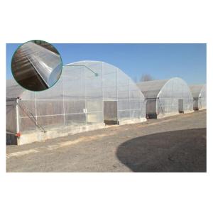 Optimal Plant Cultivation Tunnel Greenhouse Covered with 150/200micro PO Film