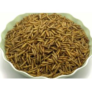 Brown High Protein Black Soldier Fly Powder