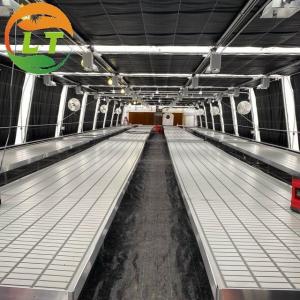 Film Covered Mushroom Cultured Greenhouse for Mushroom Cultivation and Easy