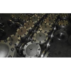 Automatic Actuated Stainless Steel Check Valve Bolt Bonnet Type Class 150