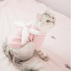 Customized Pattern Cat Wearing Sweater , Designer Cat Clothes Size XS - XXL