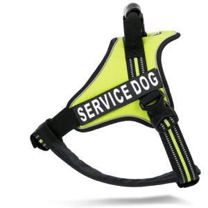 Durable Outdoor Adventure Easy Walk Pet Harness With Removable Chest Padding