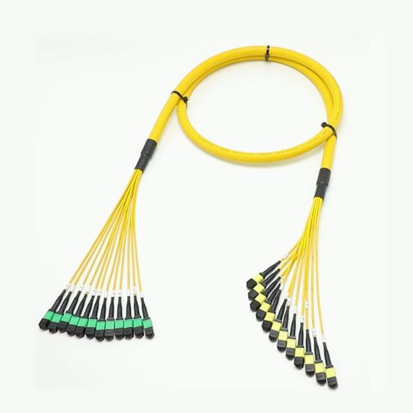 Buy 1M MPO Fanout Cable at wholesale prices