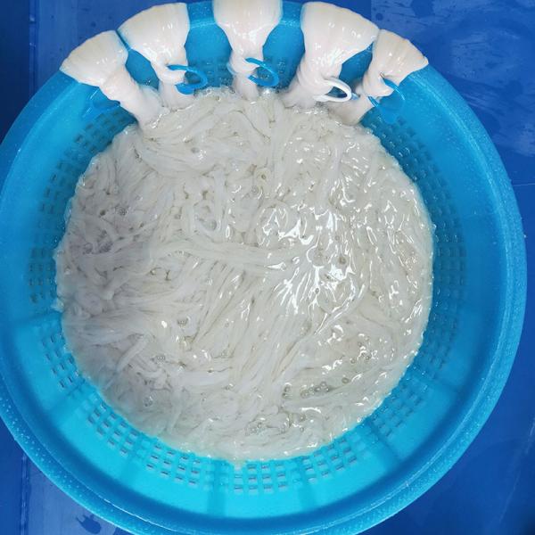 Buy Organic Sausage Casings 90 Meters/Hank at wholesale prices