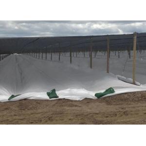China Degradable PP Non Woven Fabric , Plant Cover Ground Weed Control Fabric UV Resistant on sale