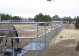 Quality 2x4 Welded Wire Horse Panels 4 Gauge 6 Gauge Welded Horse Fence for sale