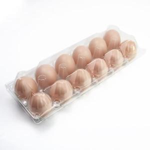 12 Holes Transparent Plastic Quail Egg Tray Hinged Clamshell Customizable