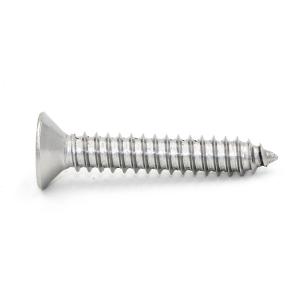 Customizable Countersunk Head Tapping Screw Phillips Stainless Self Tapping