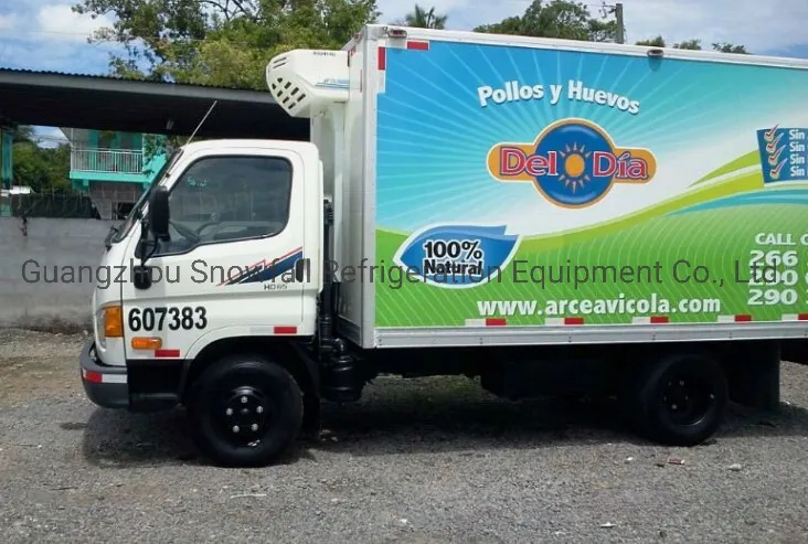 Premium Freezer Truck Body for Reliable Cold Transport