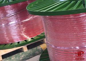Quality F46 Encapsulated Control Line Tubing 1/8&quot; OD for sale