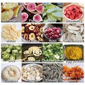 Commercial Freeze Dryer Machine Industrial Lyophilizer For Fruits Vegetables