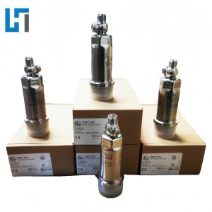 PM1704 IFM Flow Sensor New Original Plc Module Dual Analog Outputs