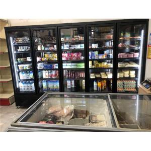 Carel Thermostat Commercial Upright Freezer For Frozen Food