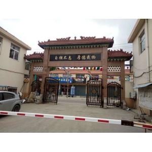 Mail Packing Children Iron Single Bed for Bedroom Furniture in Child-friendly