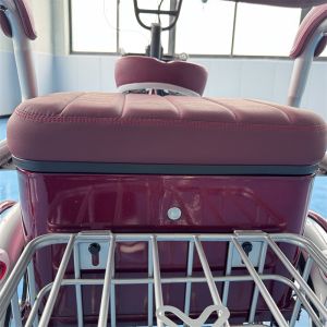 Stable Electric Tricycle For Seniors Easy To Operate Mobility Scooters ISO9001