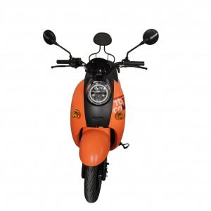 LY-GA5 Electric motorcycle Electric bicycle adult electric scooter