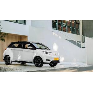 2023 Model Pure Electric Car YOUNG 302km Range 0.5h Fast Charge 4 Seats Full