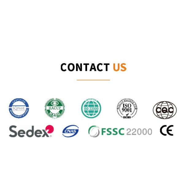 28 Baking Template Cone Biscuit / Rolled Sugar Cone Making Machine