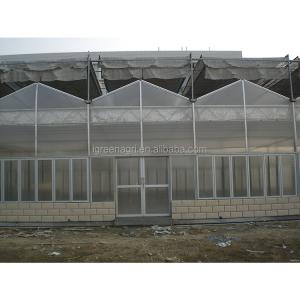 9.6m Tunnel Width Polycarbonate Greenhouse for Sustainable Agricultural