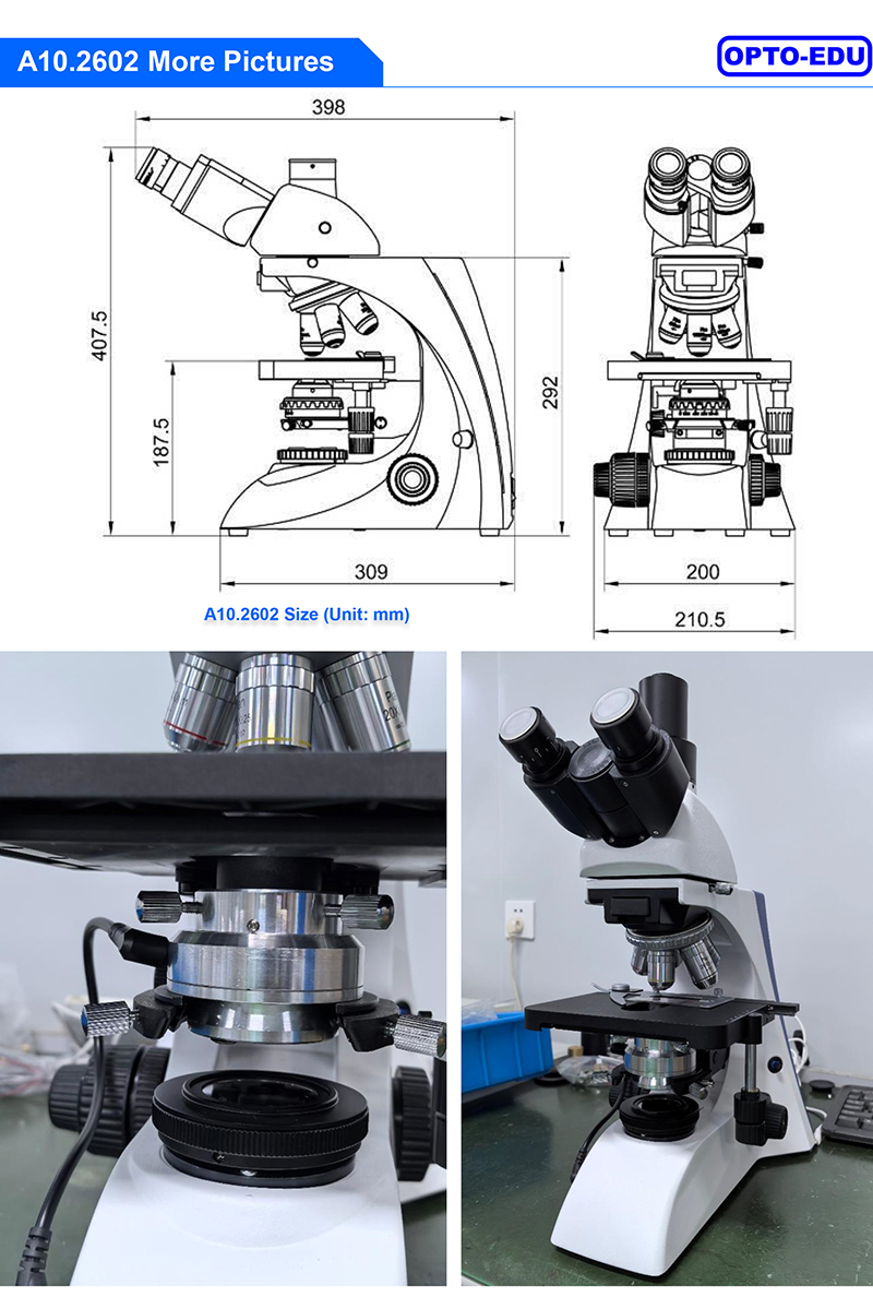 OPTO-EDU A10.2602 Dark Field Microscope with 5W LED Enhanced Illumination and WF10x Eyepiece for Professional Dark Field Condenser Applications