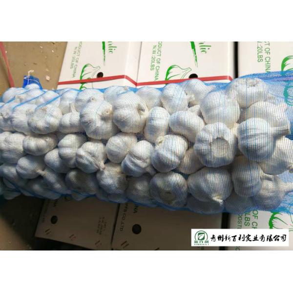 Normal White Fresh Organic Garlic , Raw Garlic -3 ℃ To 0 ℃ Transporting Temperature