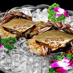 220 KG 24 Hours LZ-1500 Professional Ice Maker Machine for High Yield of 680kg