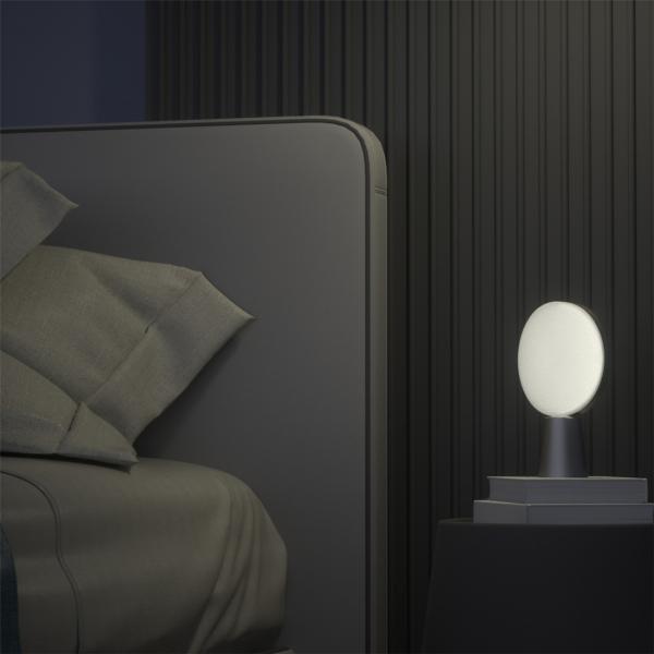 Smart Table Lamp(FW-04BD-01)