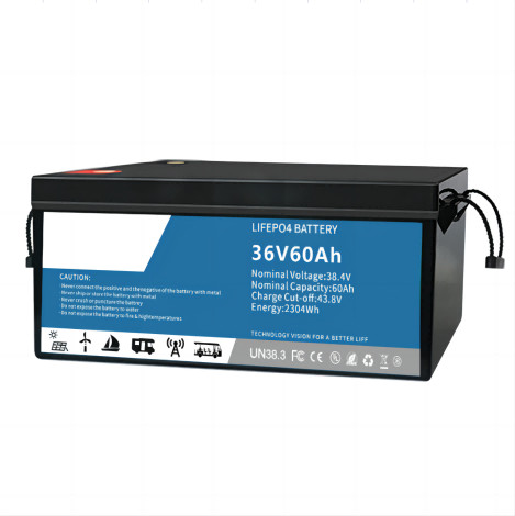 Buy Multiscene EV Lithium Iron Phosphate Battery IP55 Waterproof With BMS at wholesale prices