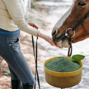 Chromium Picolinate Amino Acid Protein Chromium Animal Pet Feed Additive