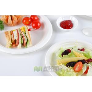 Disposable Sugarcane Bagasse Dishes Compostable Biodegradable Plates Dinnerware