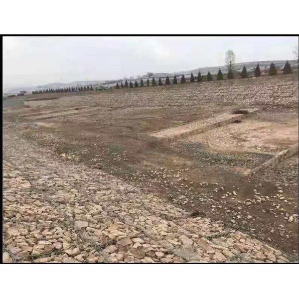 Spray Plastic Galvanised Wire Mesh 0.8mm 2.6mm Gabion Box