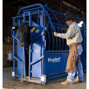 Double Squeeze Cattle Chute