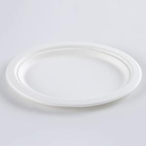 Biodegradable Food Container 10'*8' Oval Bagasse Plates
