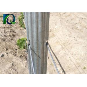 2.2M Height Orchard Post Wine Grape Trellis Systems With 6 H-Shape Holes