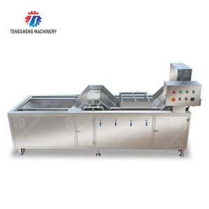 customized blanching machine Fruit Orange Vegetable Leaves Vegetables Carrots