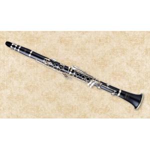 constansa instrumentProfessional Performance Level Ebony Wood Silver Plated 18