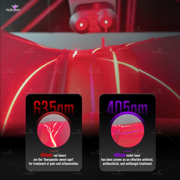 Physio Master Physical Joint Pain Relief 10 Diode 405 635nm Red Violet Laser Anti-Inflammatory Wound Heal Machine