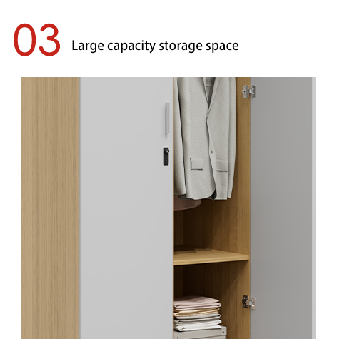 Support customization Modern Simple Design Steel Metal Bedroom Wardrobe with Hanging Rod Ample Storage Space Home Furniture for Hotel Living Room