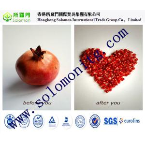 Natural manufacturer supply GMP Punica granatum/ pomegranate bark extract for
