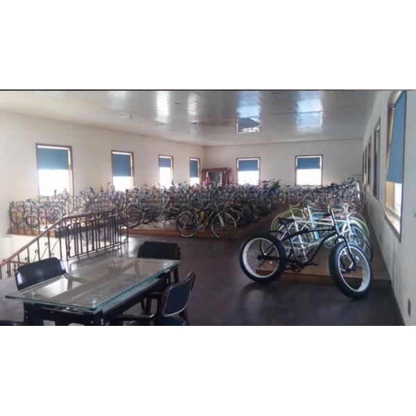 20 Inch Steel Material Frame Chopper Bike with F Disc Brake and R Coaster Brake