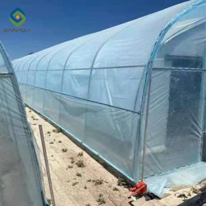 33ft Pe Film Skeleton Dustproof Single Tunnel Greenhouse