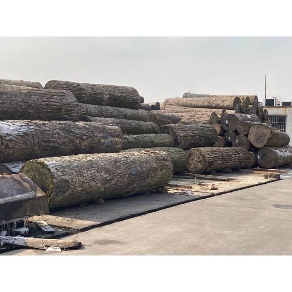 piano china factory Professional High quality 88 key piano acoustic piano grand mechanical piano corrosion resistance