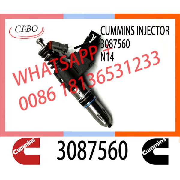 Cummis N14 Fuel Injector 4307795 3087733 3095086 3411691 3411759 3411764 3411765 3411766 4307516 3083846 3087560